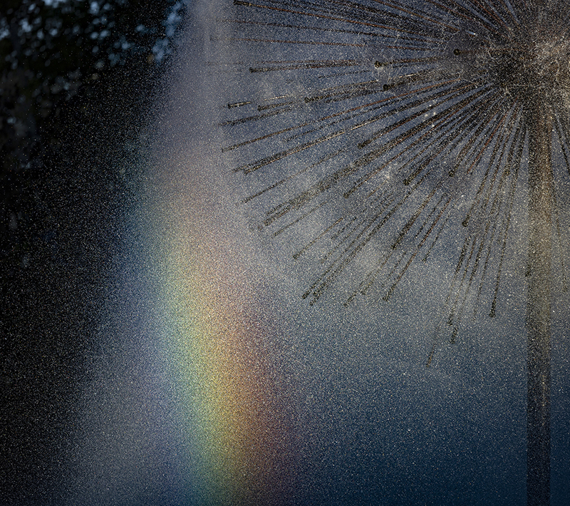 The “Dandelion” Wortham Memorial Fountain at Buffalo Bayou Park