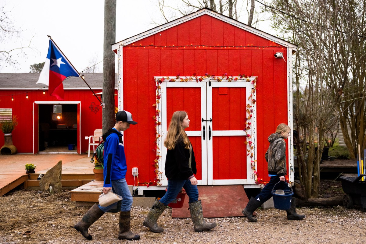 JohnPaul Clements, 13, Veronica Clements, 14, and Bernadette Clements, 11, three of five siblings responsible for running Clements Family Farm in Santa Fe, carry food for their chickens and farm animals, Jan. 30, 2023, in Santa Fe.