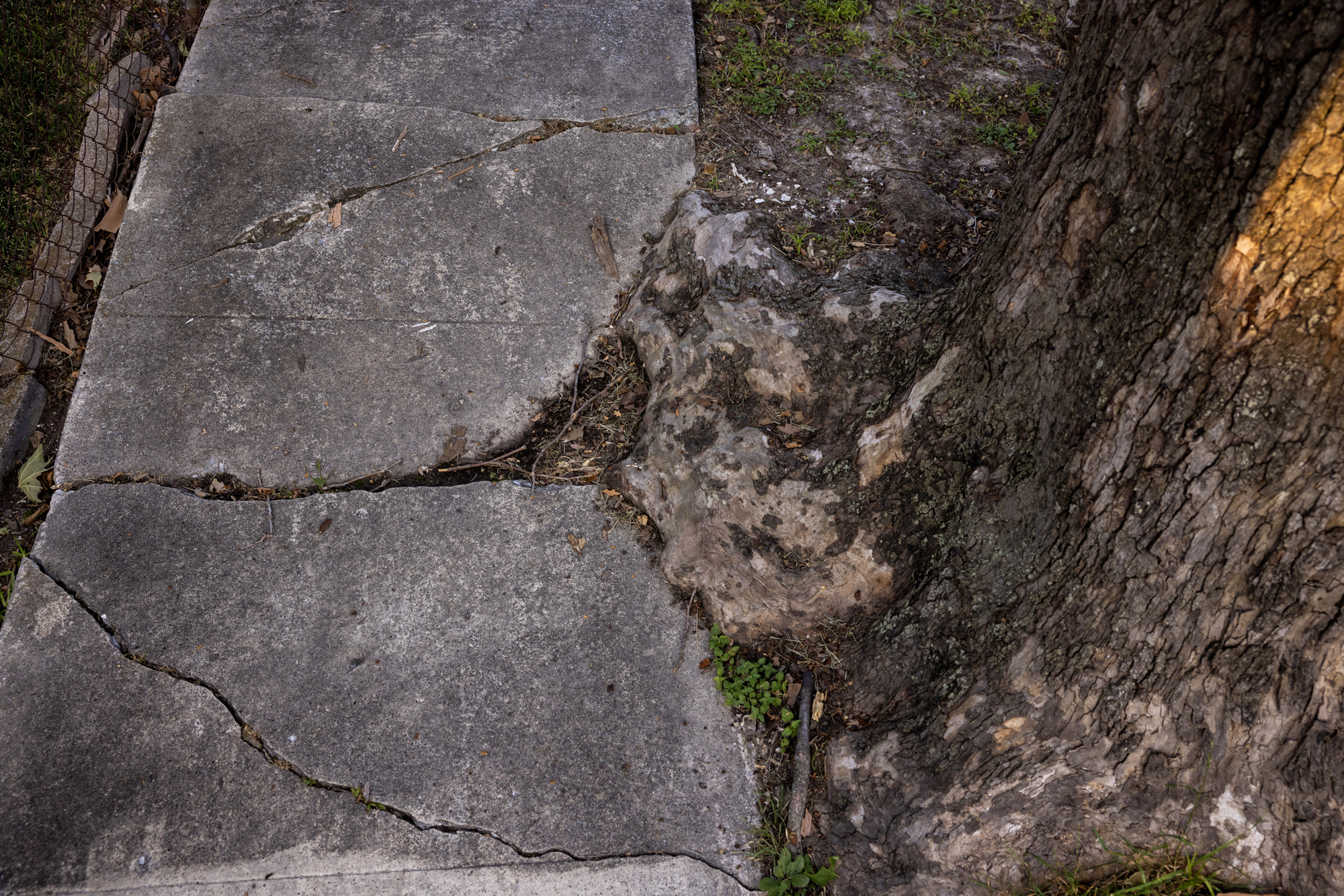 Broken sidewalk