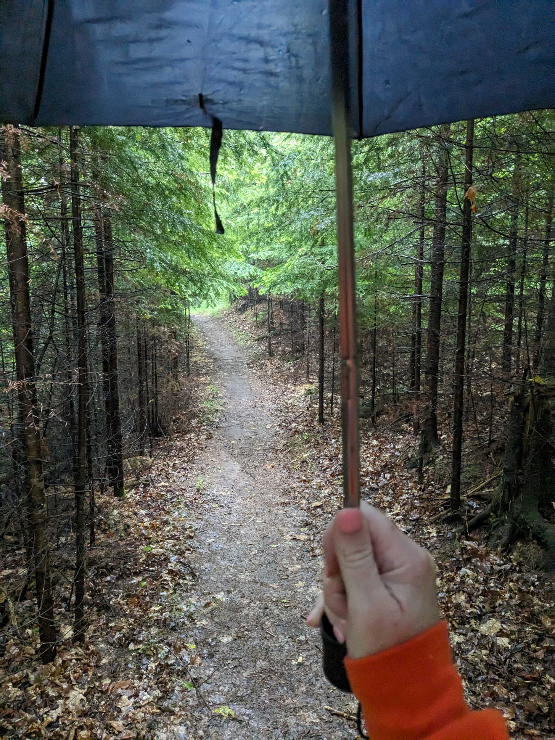 Maggie Gordon holds an umbrella during a rainy hike along the southern shore of Lake Superior