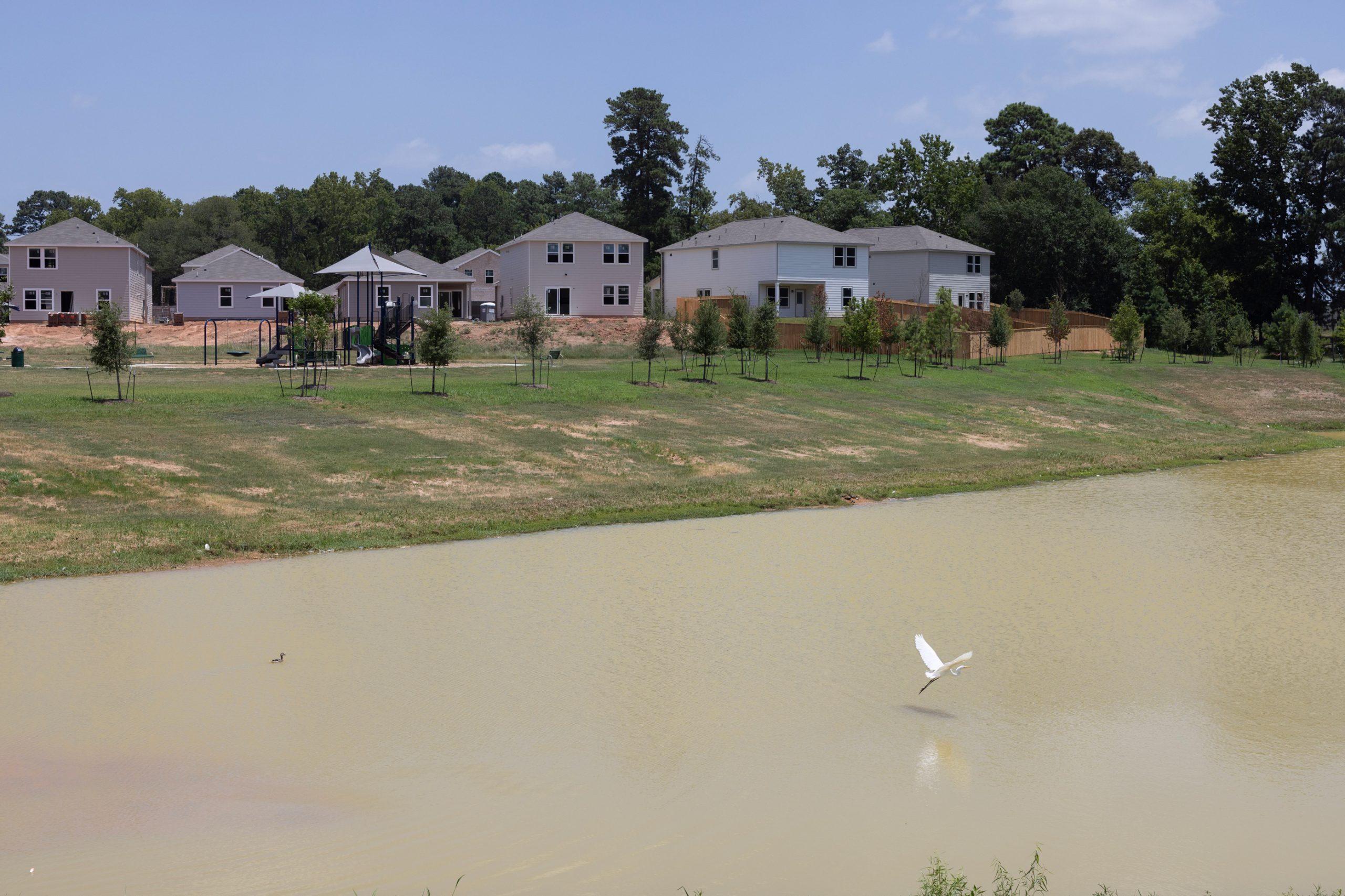 An egret flys through Chapel Run’s water retention pond,
