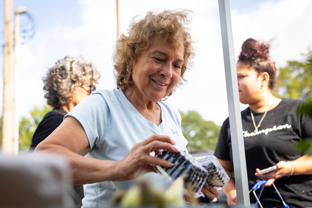 Rachel Flores looks for the best berries during a farmers market hosted by Urban Harvest