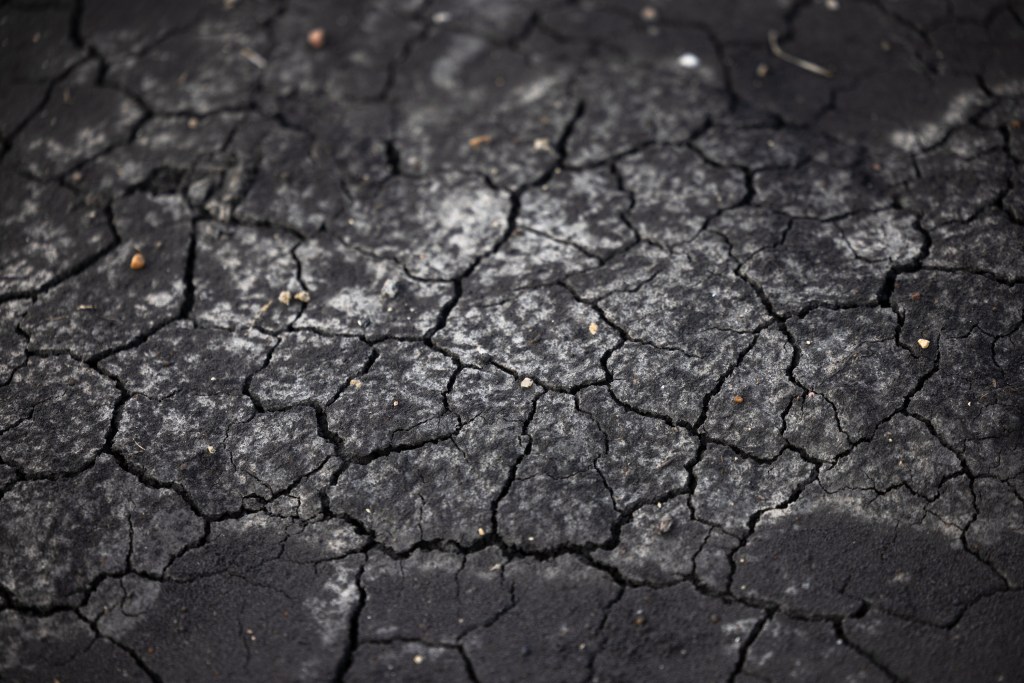 Dry ground in a Texas corn field