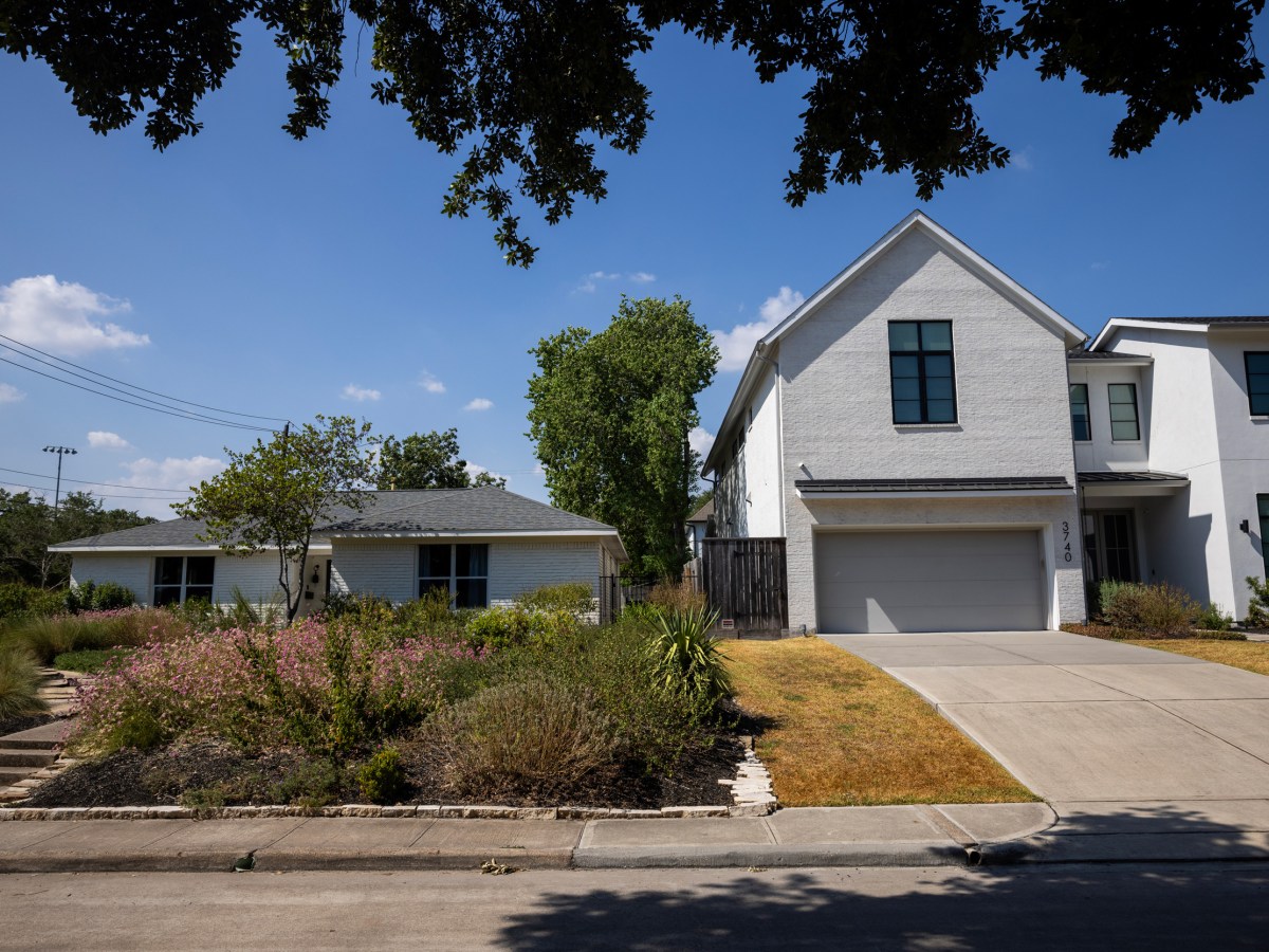 Native plants fill Claudia Schnelle’s front yard, at left, as grass dries due to heat on her neighbors lawn, at right.
