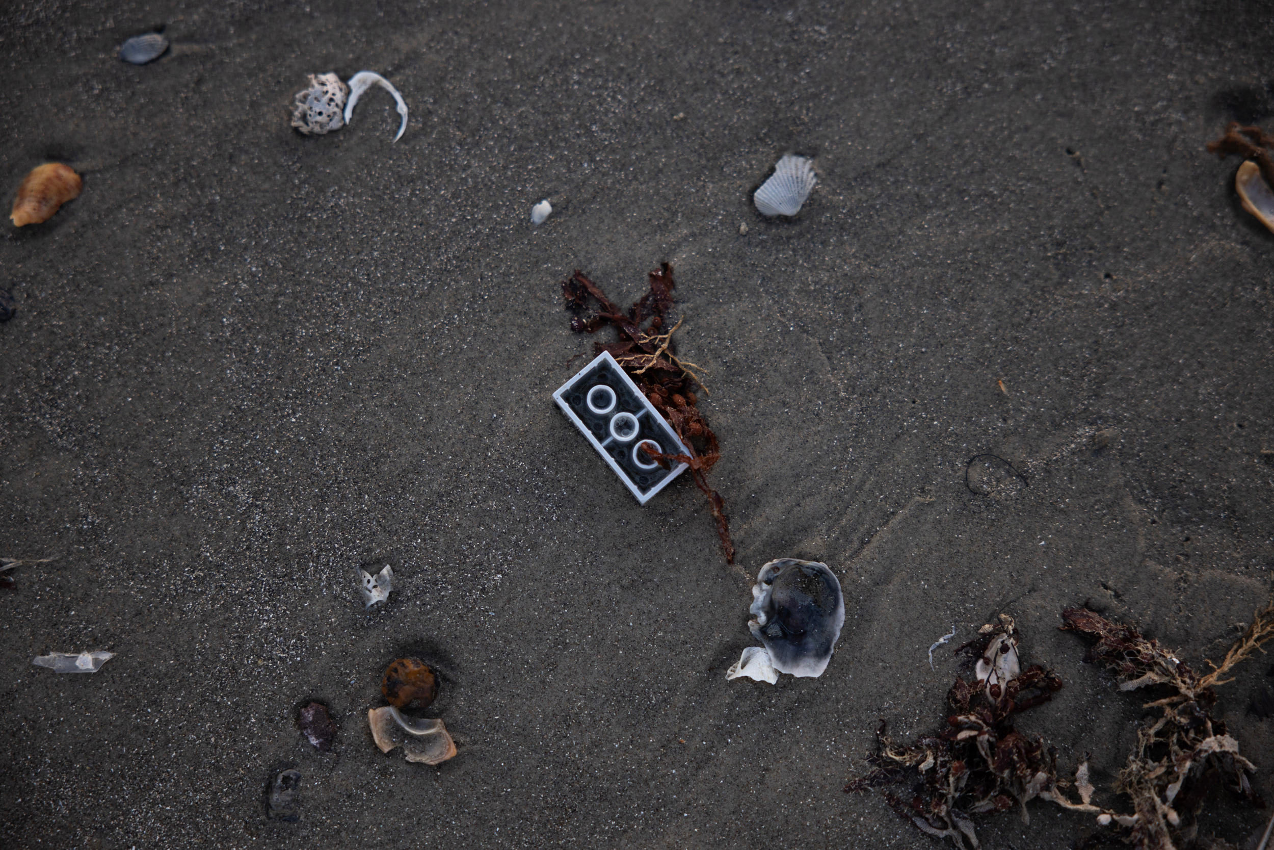 Trash on the beach in Galveston, Texas