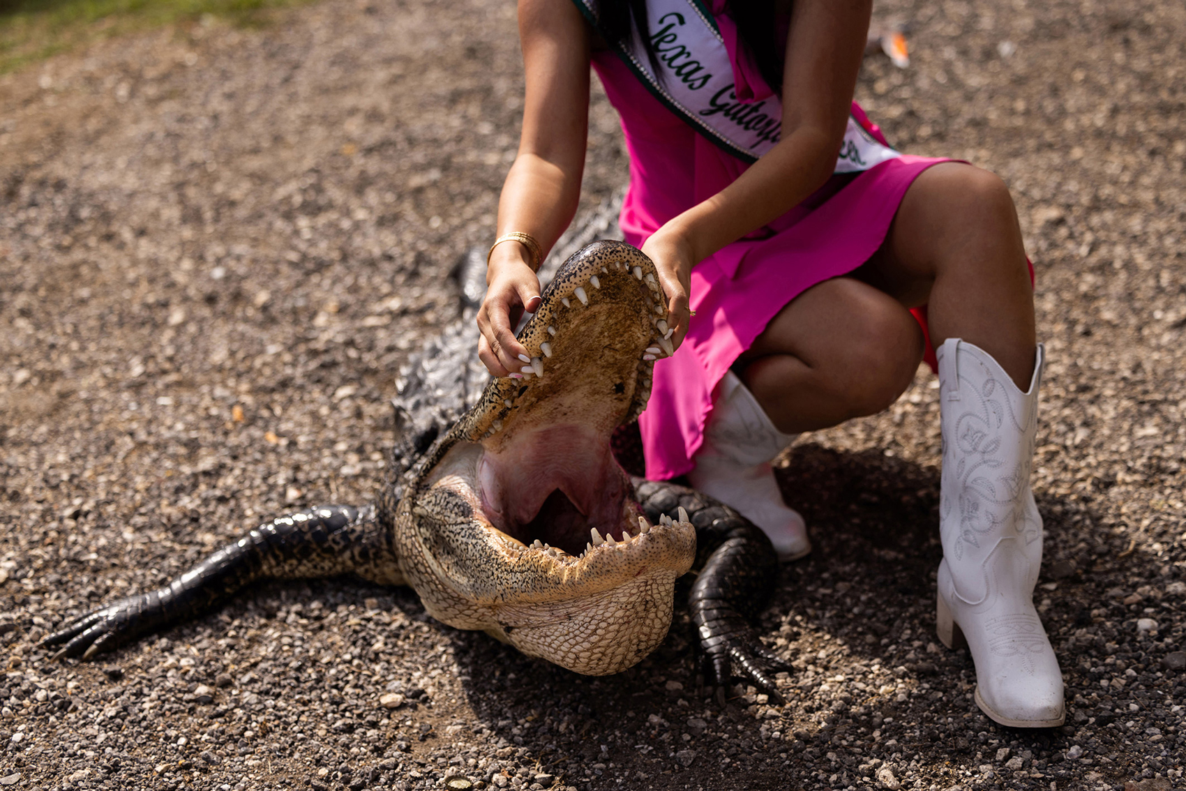 The 2023 Texas Gatorfest Queen Tina Ly, 16, poses with an alligator at the annual Texas Gatorfest
