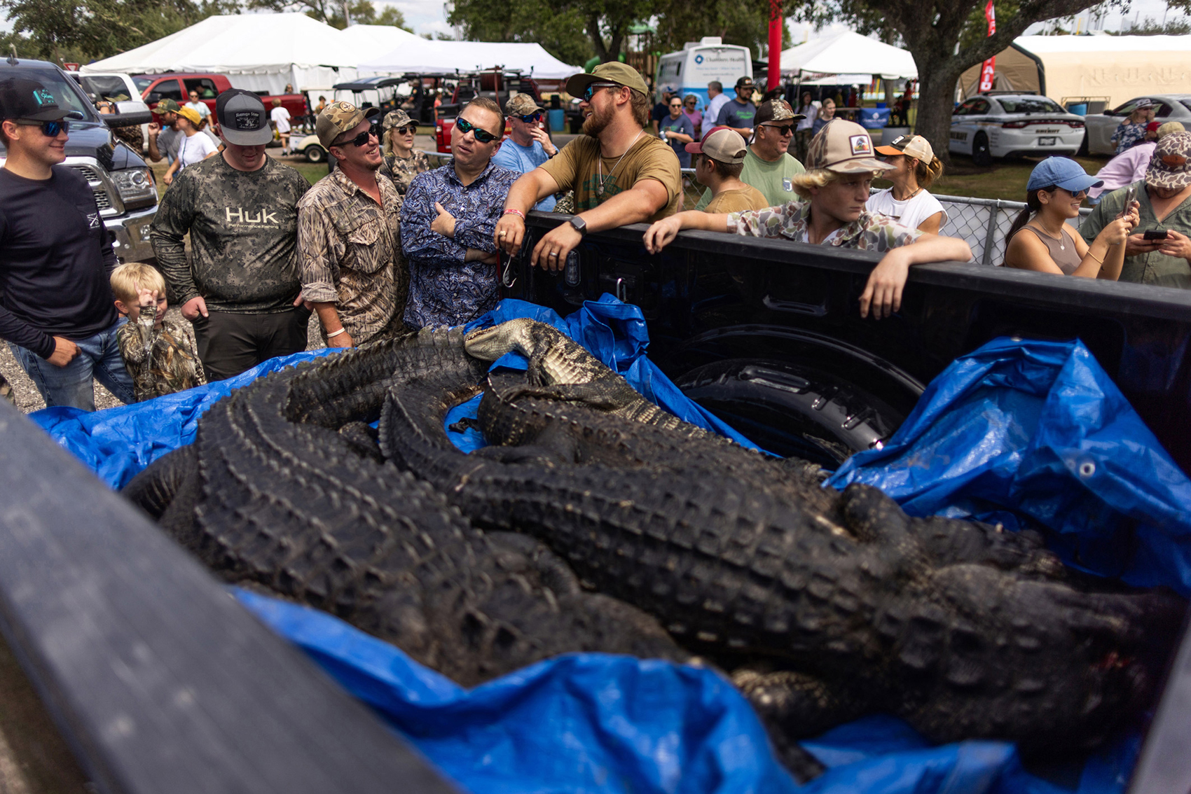 The Great Texas Alligator Roundup participants arrive at the roundup with alligators at the annual Texas Gatorfest