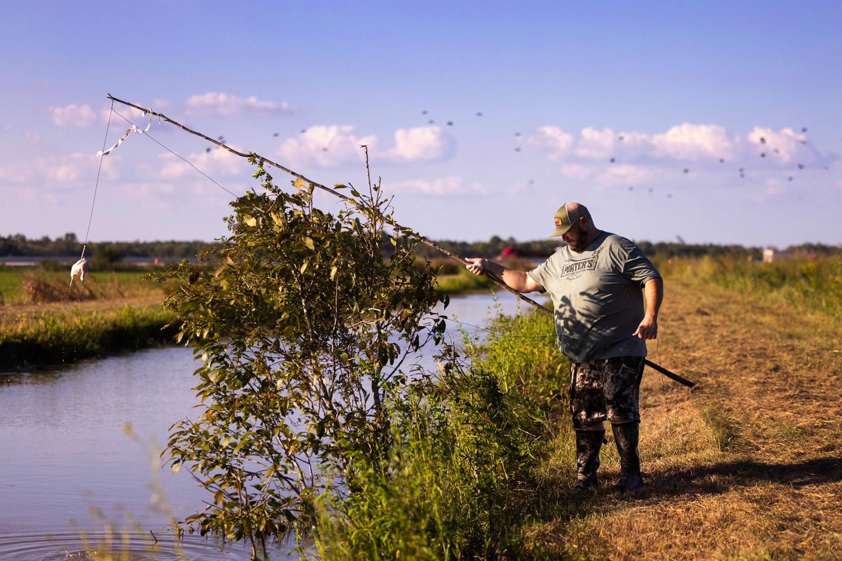 A man places a gator trap. The traps consist of a large hook through a piece of raw chicken.