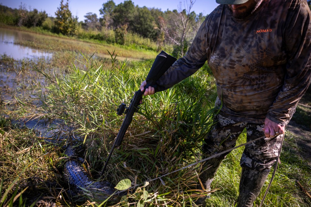 Willie Nelson shoots a hooked alligator on the last day of alligator hunting season,