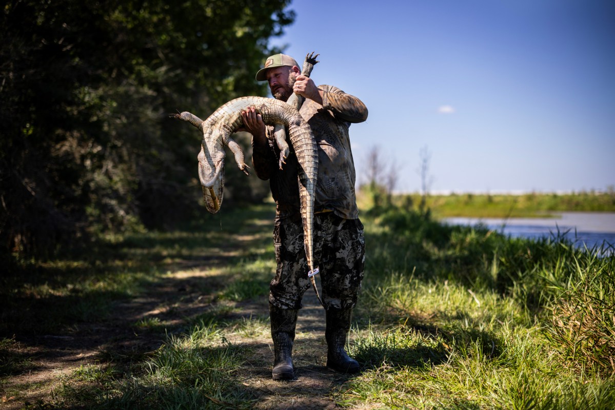 Willie Nelson picks up a dead alligator he caught on the last day of alligator hunting season