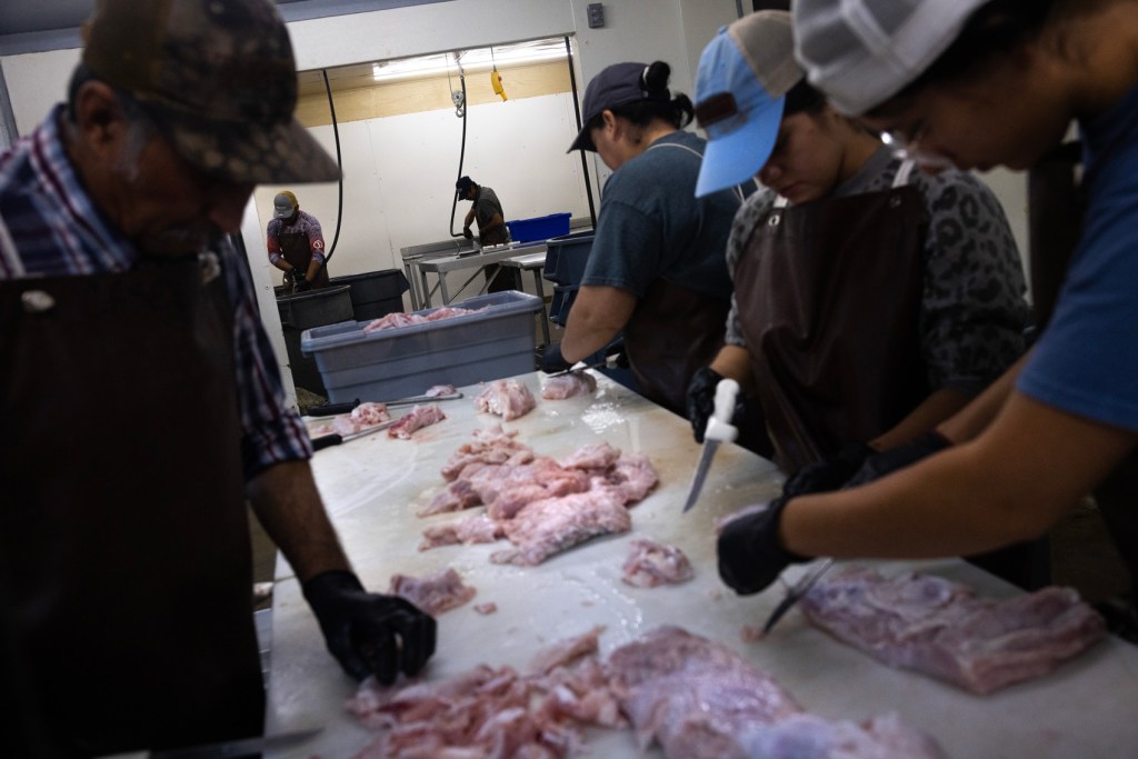 Workers process alligator meat at Porter’s Wild Game Processing and Alligator Farm