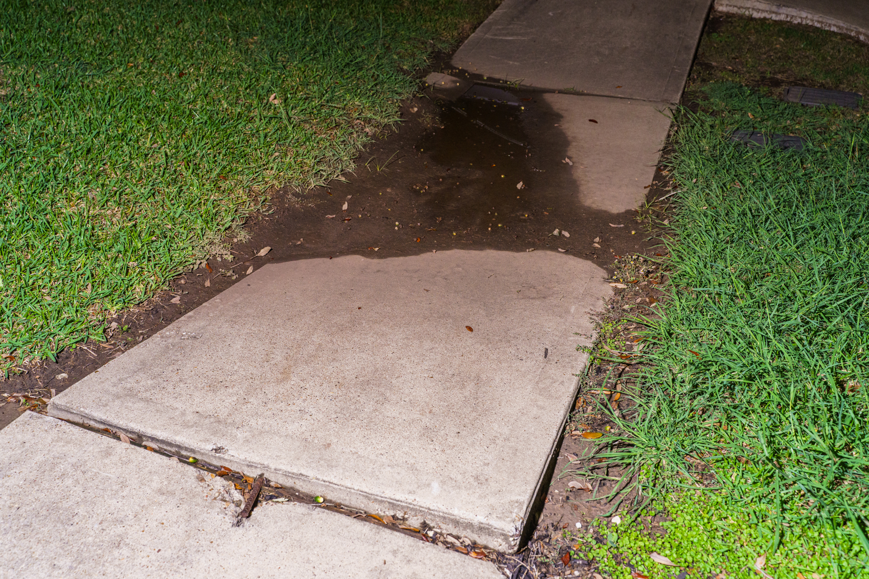 Sunken sidewalk on Junction Drive in Houston. 