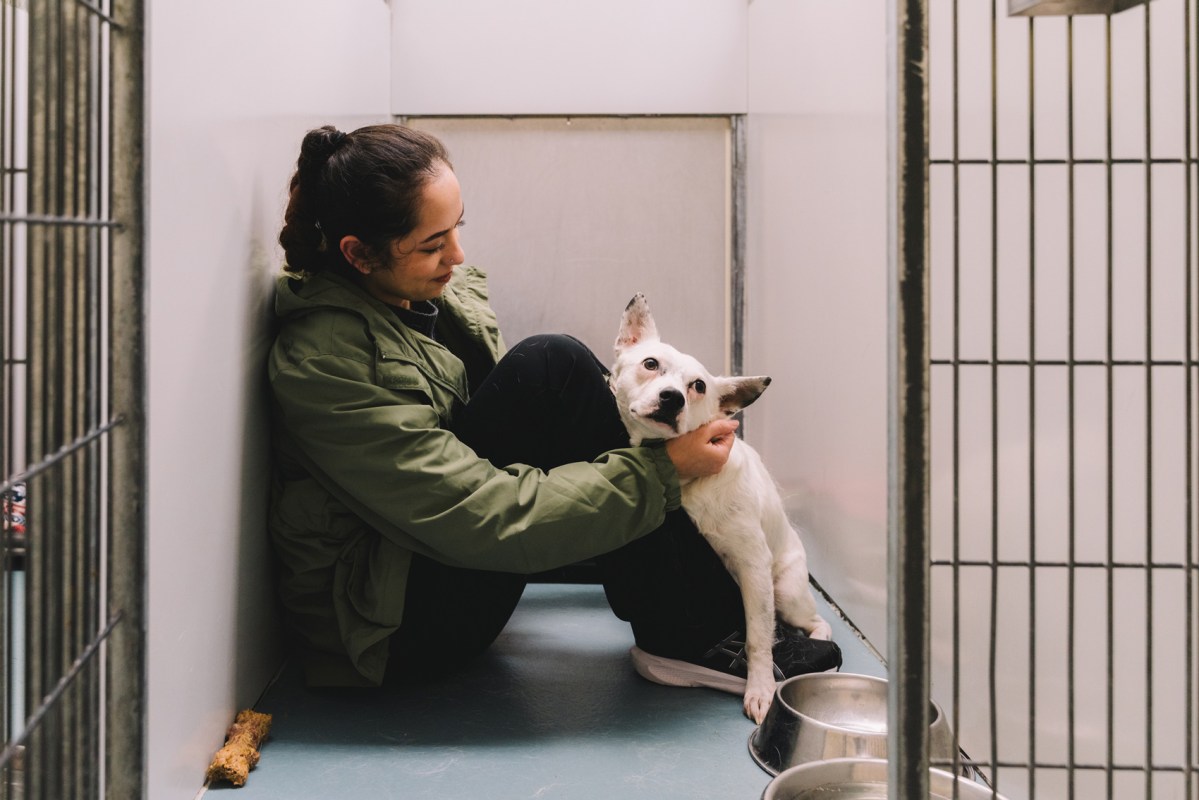 Bella Garza, left, gives pets to Blanco, a 3-year-old cattle dog, as she looks to adopt a dog at BARC Animal Shelter and Adoptions on Wednesday