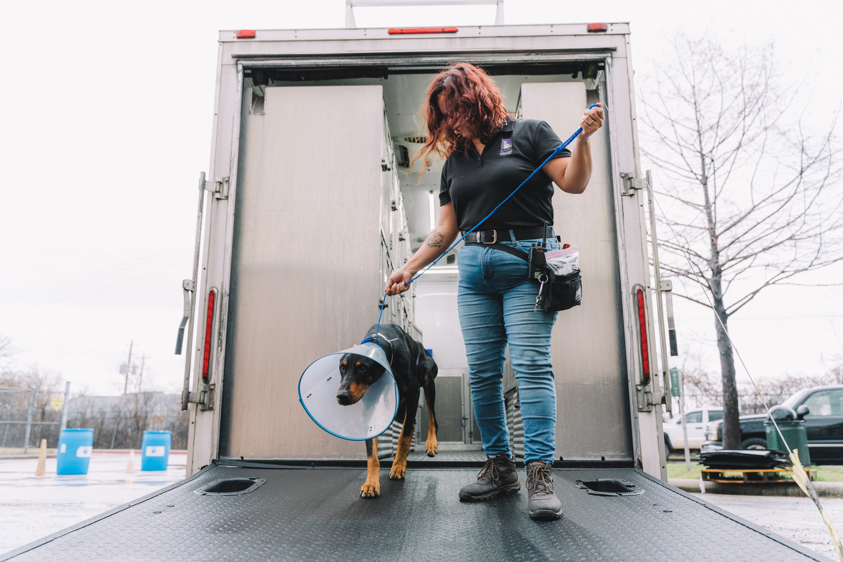 Samantha Reza, a staff member of BARC Animal Shelter and Adoptions, walks a dog inside after receiving off-site surgery on Wednesday, Jan. 24, 2024, in Houston. 