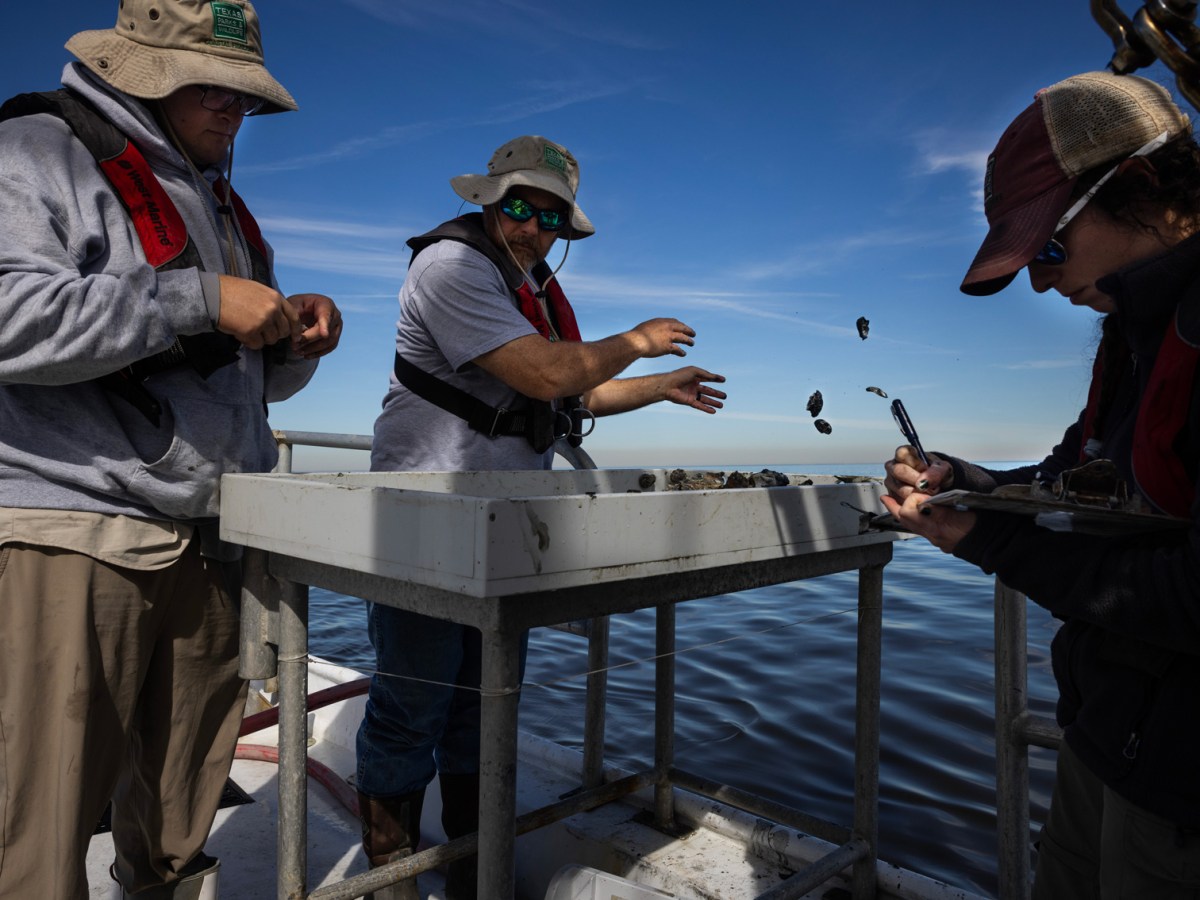 From left, Jason Williams, technician, Mark Krupp, technician, and Jessica Geiskopf, biologist, of Texas Parks and Wildlife, survey an oyster harvesting area Tuesday in Seabrook.