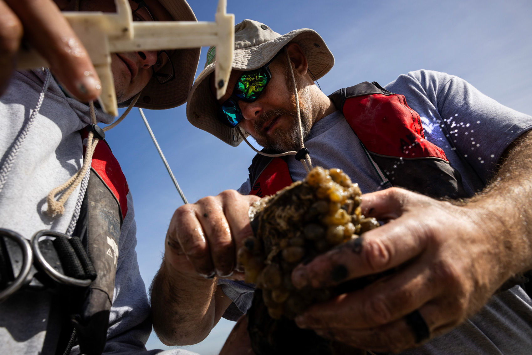 Jason Williams, technician, at left, and Mark Krupp, technician, of Texas Parks and Wildlife team