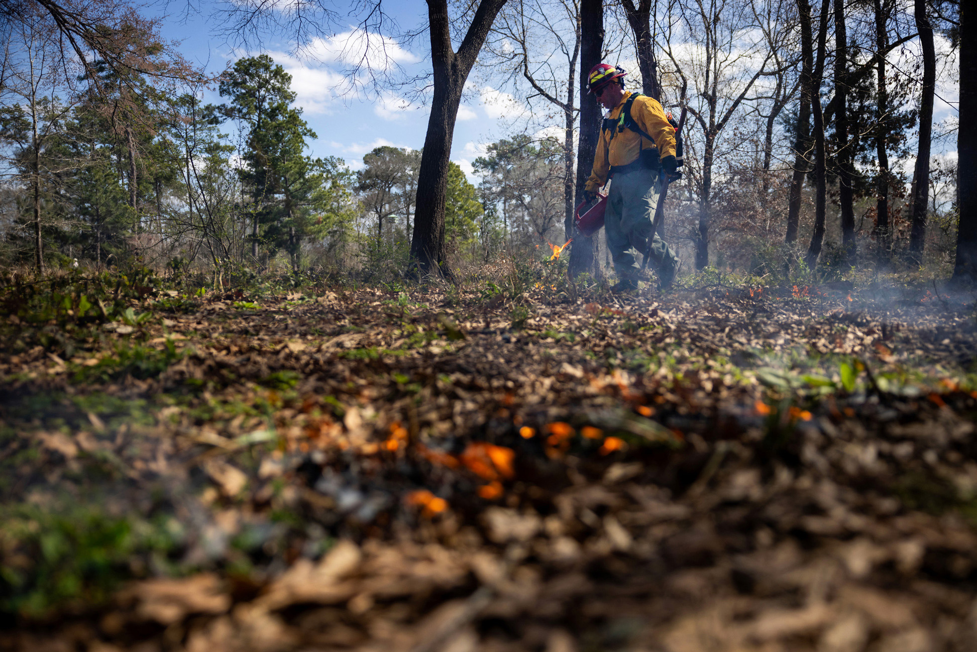 Jeff Creps, captain, uses his drip torch to burn sections of dry understory during a controlled burn of a section of the Houston Arboretum & Nature Center