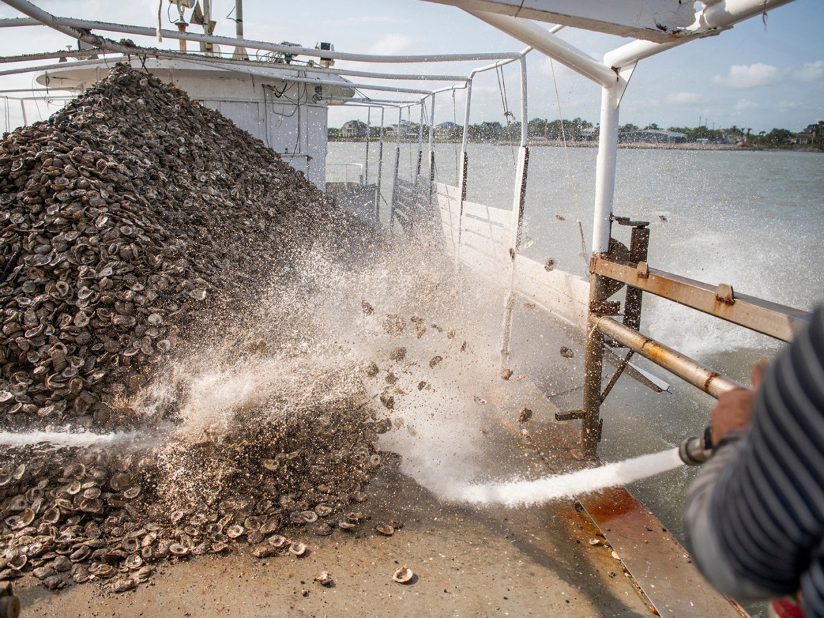 Geraldo Carmargo uses a water cannon to push a boat load of oyster shells back into the ocean on April 30, 2024 to build a sustainable, non-harvestable, oyster reef near San Leon, Texas.