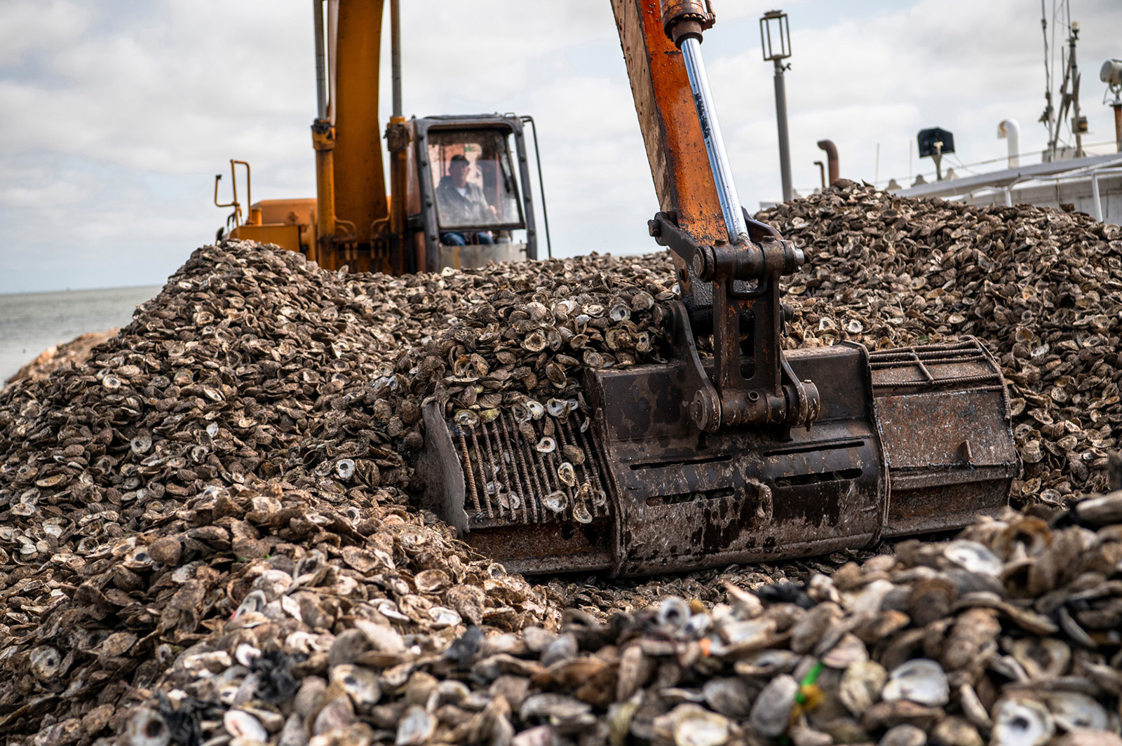 Martin Duran loads oyster shells onto a boat to be transported offshore on April 30, 2024 to build a sustainable, non-harvestable, oyster reef near San Leon, Texas 