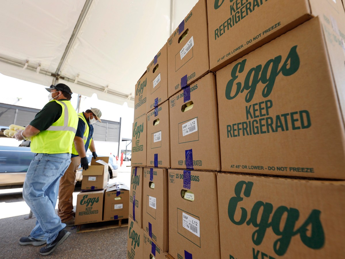 Cases of eggs from Cal-Maine Foods, Inc., await to be handed out by the Mississippi Department of Agriculture and Commerce employees at the Mississippi State Fairgrounds in Jackson, Miss., on Aug. 7, 2020.