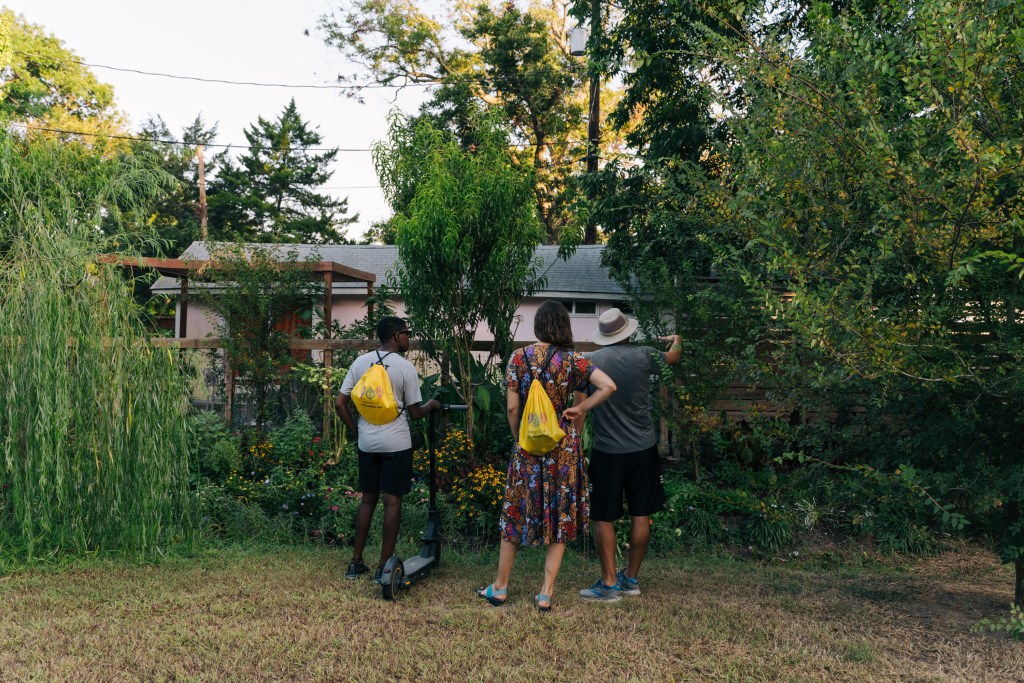 Friends of the Columbia Tap look at the many plants and flowers on the trail