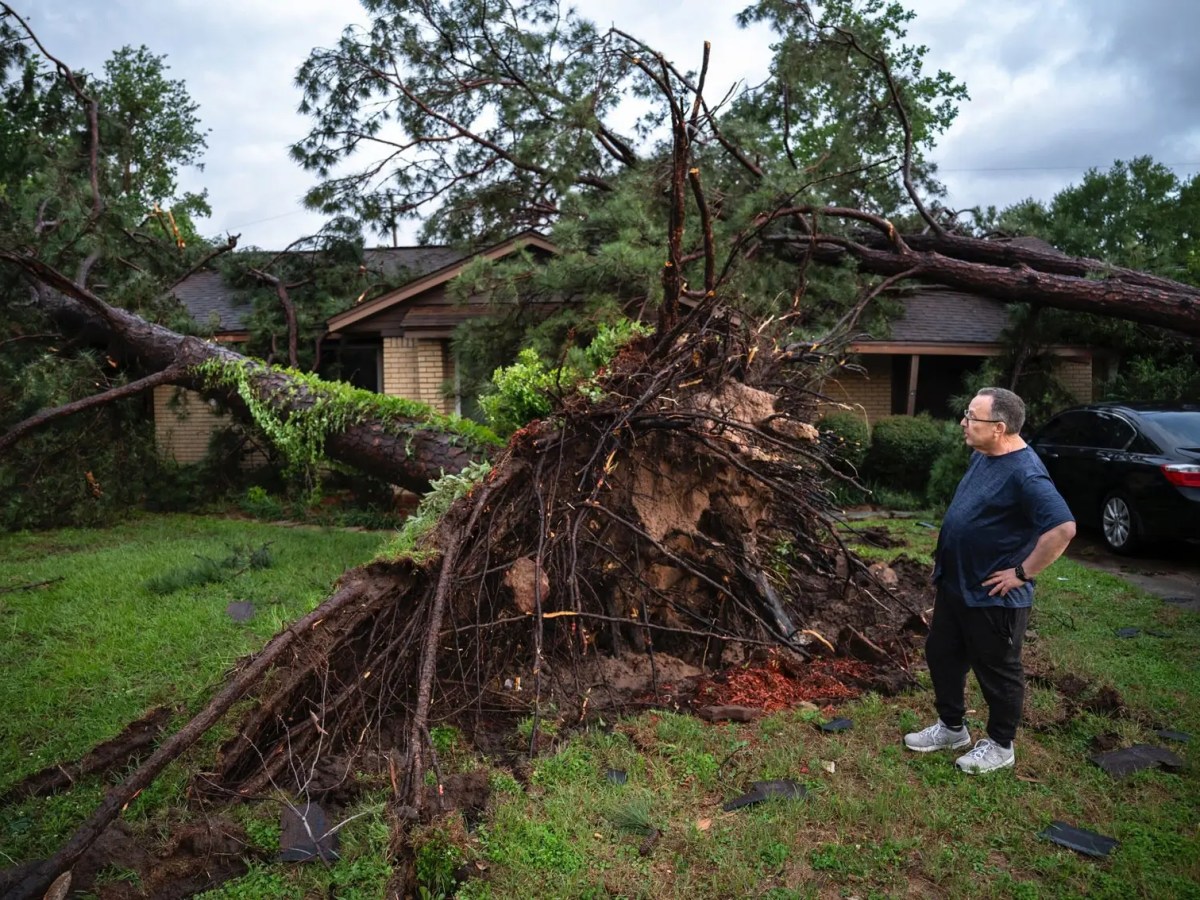 A man stands by a fallen tree after severe storms left nearly 900,000 CenterPoint Energy customers without power and killed at least four people in the Houston area
