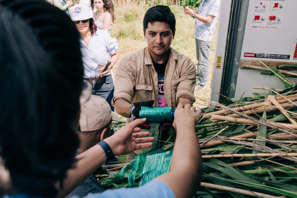 Pete Torres, University of Houston-Clear Lake student, wraps up reeds in a trailer for transport in Houston.