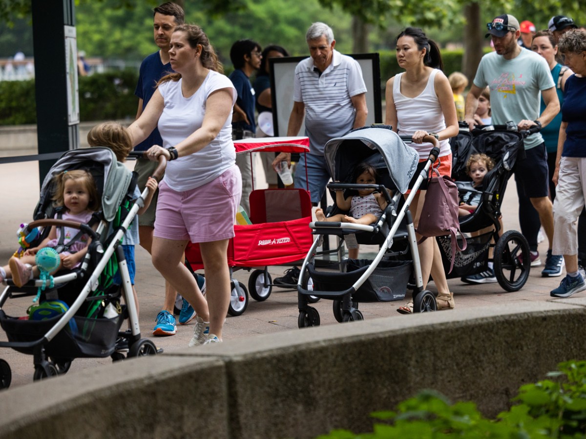 Families push strollers in the park