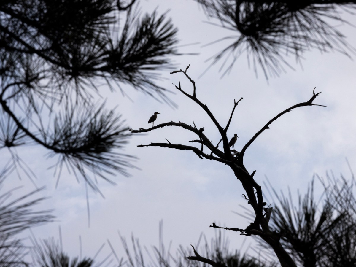 As the days get shorter, experts share ways to combat seasonal depression