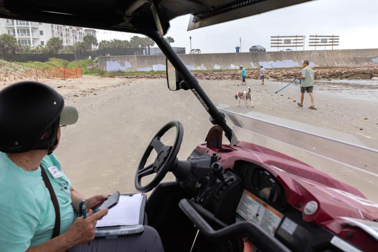 Jo Monday, 76, a master naturalist and Gulf Center for Sea Turtle Research volunteer, takes a look at Galveston Beach visitors while patrolling the area on the lookout for any sea turtles or turtle tracks that could lead her to a nesting site on Wednesday,