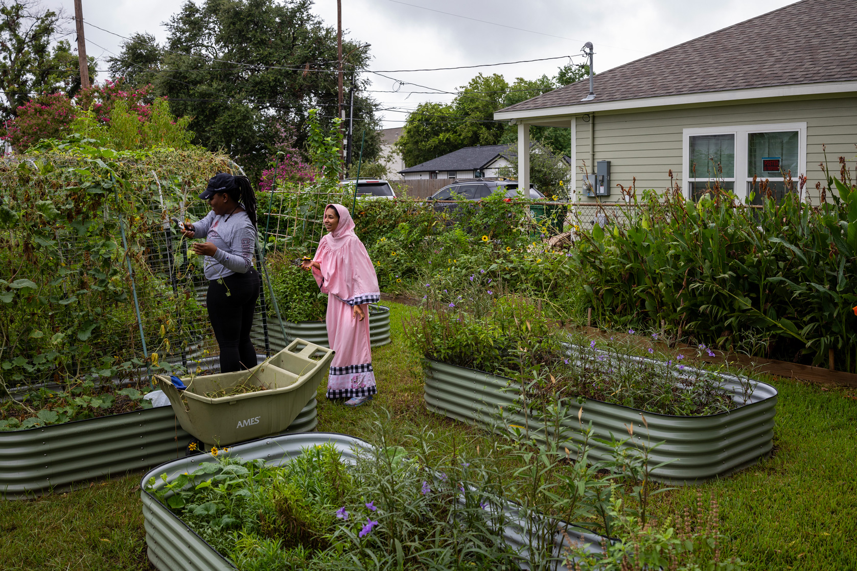 Houston gardeners combat contamination and food insecurity, image size:1677x1118