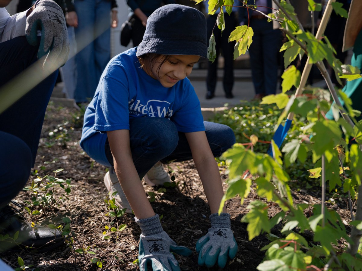 Her Make-A-Wish dream? Plant 1,000 trees across Houston and watch hope grow from the dirt.